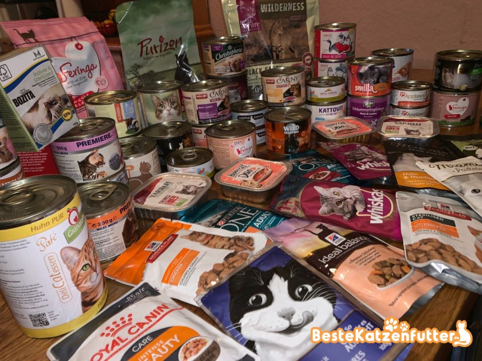 Bestes Katzenfutter - Nass & Trockenfutter im Test 2024